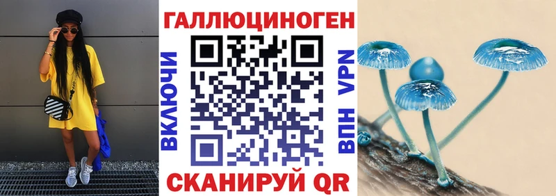 Галлюциногенные грибы прущие грибы  Мезень 